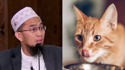 Punya Kucing di Rumah? Ustaz Adi Hidayat Mewanti-wanti soal Hal ini, Ternyata...