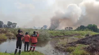 Memilukan, Kebakaran Lahan di Ogan Ilir Terus Meluas, Sudah Dua Hari Api Belum Kunjung Padam