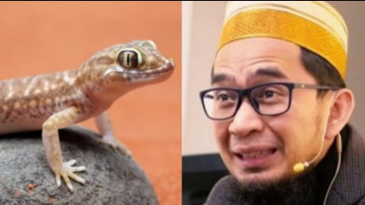 Lihat Cicak di Dinding Sebaiknya Segera Dibasmi? Ternyata Menurut Ustaz Adi Hidayat Hadirnya Cicak Justru Bisa Jadi Pertanda ini