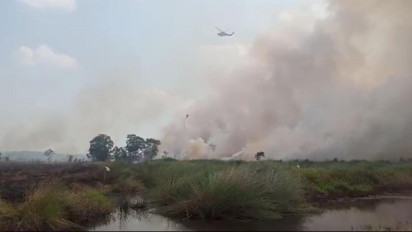 Kebakaran Lahan di Ogan Ilir Terus Meluas Sudah Dua Hari Api Tak Kunjung Padam