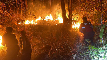 Hutan Jati di Gunung Bungkuk Magetan Terbakar, Polisi dan BPBD Lakukan Pemadaman