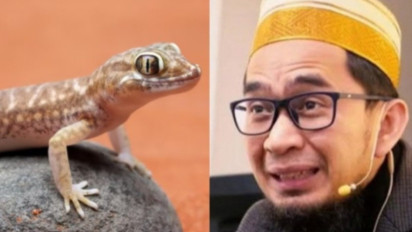 Cicak-cicak di Dinding Harus Langsung Dibasmi? Ternyata Menurut Ustaz Adi Hidayat Akan Lebih Baik Jika Lakukan Hal ini
