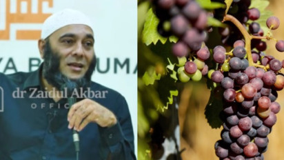 Jangan Buang! Ternyata Biji Anggur Harusnya Dimakan, Ini Kata dr. Zaidul Akbar