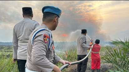 Kebakaran Lahan di Ogan Ilir, Warga dan Pekerja Kebun Berupaya Padamkan Api dengan Alat Seadanya