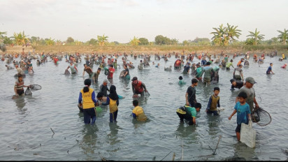 Meriahkan HUT RI ke-78, Ratusan Warga Gresik Berebut Tangkap Ikan Gratis di Waduk Desa