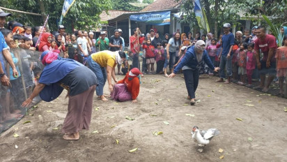 Buat Kekeh! Ibu-ibu Desa Setrojenar Lomba Tangkap Entok dan Bebek saat HUT ke-78 RI