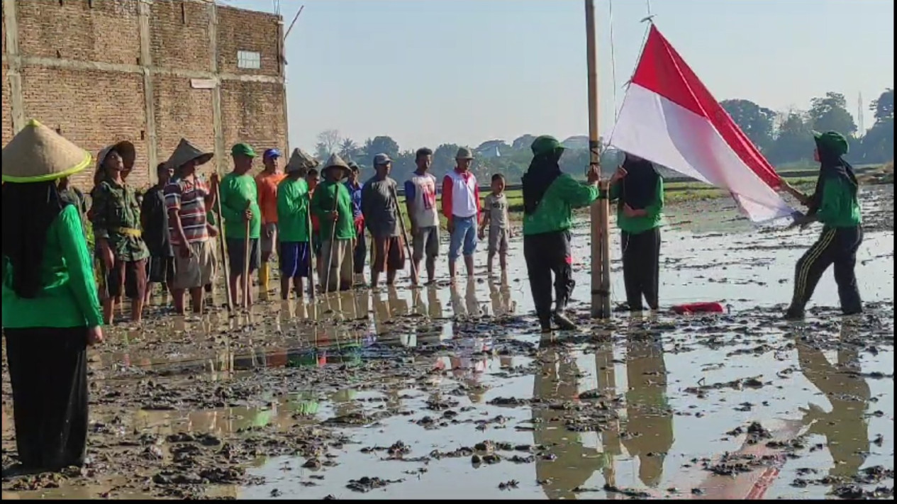 Unik, Petani dan Warga Laksanakan Upacara HUT RI ke-78 di Tengah Sawah
            - galeri foto