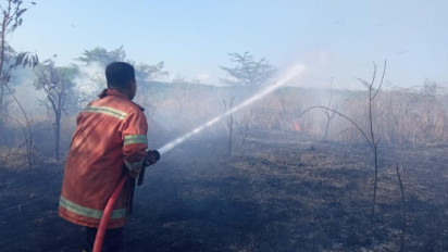 Gara Gara Bakar Sampah, Lahan Perkebunan Warga di Mojokopek Gresik Hangus Terbakar