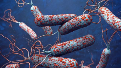 Kongo Diserang Wabah Kolera, Sudah 230 Orang Meninggal Dunia