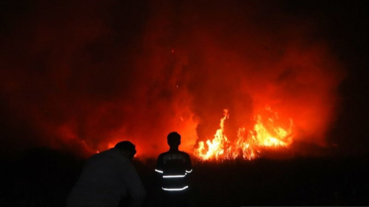 Kebakaran di Wilayah Tapin Kalimantan Selatan Mulai Mendekati Pemukiman Warga
            - galeri foto