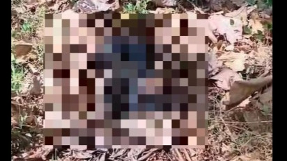 Gempar! Sesosok Mayat Tinggal Tulang belulang, Ditemukan Warga Probolinggo di Tengah Hutan Jati