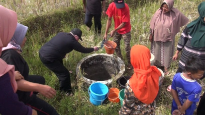 Warga di Ciamis Antre Ambil Air di Tengah Sawah, Akibat Kekeringan dan Kemarau yang Berkepanjangan