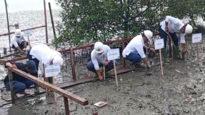 Minimalisir Abrasi dan Polusi Udara, PLNNP UPDK Belawan Tanam 1.000 Pohon Mangrove