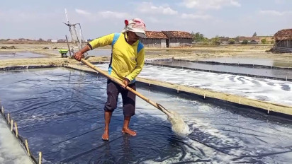Musim Kemarau Harga Garam Malah Anjlok 80 Persen, Petani Garam di Rembang Meradang