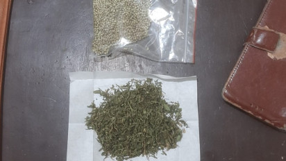 Duh! Preman Kampung Bikin Onar Saat Mabuk Berakhir di Jeruji Besi, Polisi Temukan Benih Ganja Dirumah Tersangka