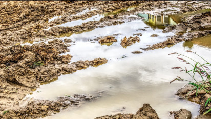 Memprihatinkan, Nenek 85 Tahun di Muba Terlantar dan Ditemukan Warga di Dalam Kubangan