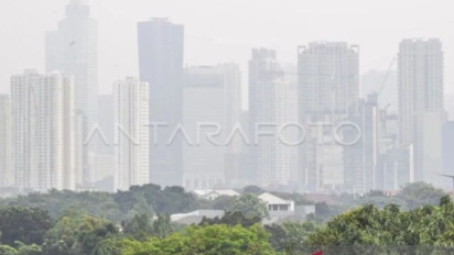 Bagaimana Menilai Kualitas Udara Tanpa Alat? Ini Kata Pakar