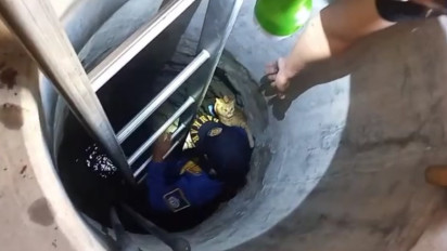 Selamatkan Kucing yang Tercebur Sumur, Aksi Petugas Damkar Gresik Berlangsung Dramatis
