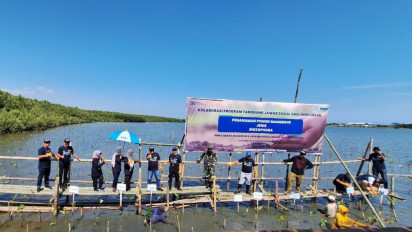 Rayakan HUT ke-78 RI, PNM Tanam 22.000 Pohon Mangrove untuk Bantu Tekan Polusi & Stabilkan Ekosistem Pesisir