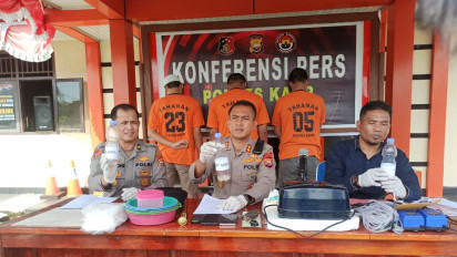 Polisi Gagalkan Penyelundupan 9.498 Ekor Benur di Bengkulu, 3 Orang Ditetapkan Tersangka
