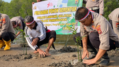 Polres Lampung Selatan Tanam Pohon Mangrove di Kawasan Pantai