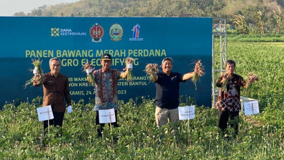 Teknologi Agro Electrifying Berhasil Tingkatkan Hasil Panen Bawang Merah di Bantul
