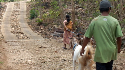 Dalam Dua Pekan, 8 Kambing di Tepus Gunungkidul Mati Diserang Hewan Liar