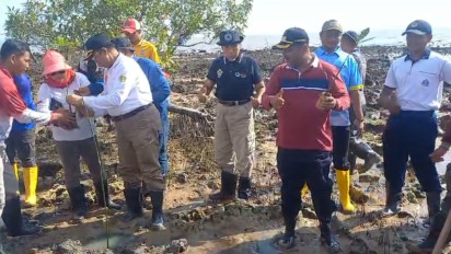 Cegah Abrasi dan Pulihkan Ekosistem Laut, Pemkab Karimun Tanam 1000 Bibit Mangrove di Tepi Pantai