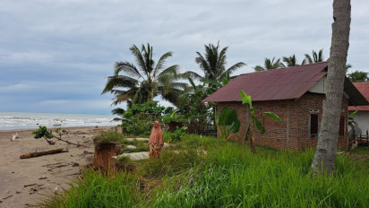 Dahsyat! Abrasi di Sepanjang Pesisir Pantai Bengkulu Kikis Pemukiman dan Ladang Warga 