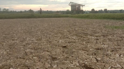 Sejumlah Wilayah Pulau Jawa Alami Kekeringan, di Jawa Barat Kabupaten Bogor Paling Banyak Terdampak