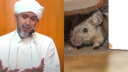 Hati-hati Banyak Tikus di Rumah Menurut Habib Ali Zaenal Al Hamid, Ternyata Itu Salah Satu Ciri-ciri...