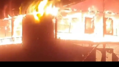 Kandang Ayam Terbakar, 8000 Ekor Ayam Mati Terpanggang