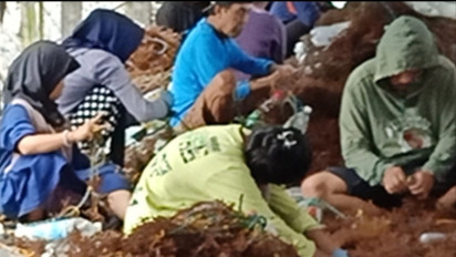 Terhambat Armada Pengangkut, Petani dan Pedagang Rumput Laut Nunukan Kalimantan Utara Terancam Merugi