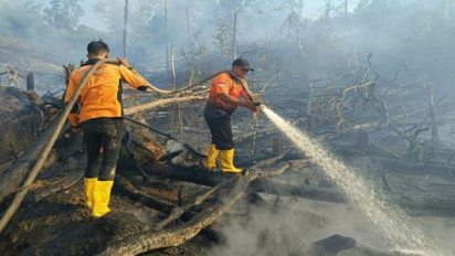 Memilukan, Kondisi Kalimantan Timur Saat Ini, 154 Titik Panas Indikator Awal Karhutla Terpantau
