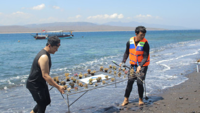 Selamatkan Laut, Ratusan Terumbu Karang Ditenggelamkan di Selat Bali