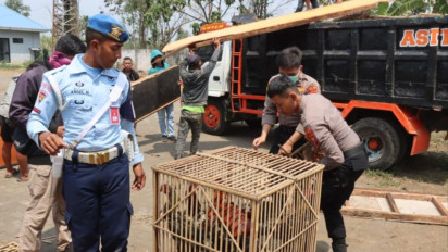 Ratusan Personil Gabungan Obrak Dua Tempat Perjudian Sabung Ayam di Singosari Malang