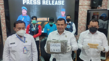 Ambil Paket Ganja 1,9 Kg dari Aceh, Seorang Pemuda di Ternate Diringkus BNNP Malut