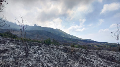Kebakaran di Areal Lahan Gunung Arjuno, Dugaan Dibakar Pemburu Liar