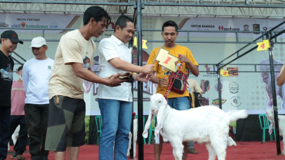 Kontes Kambing Senduro Piala Presiden Digelar di Lumajang, Bupati : Ini Bentuk Apresiasi untuk Peternak