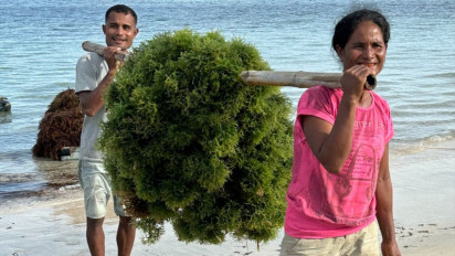 Melalui Kerja Sama dengan Agree, Hasil Budi Daya Rumput Laut di NTT Raih Total Transaksi Rp12 Miliar