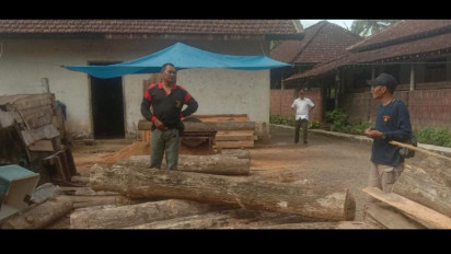 Lima Bulan Kabur, Pelaku Pembalakan Liar di Banyuwangi Disergap di Bali