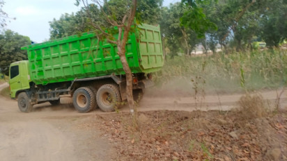 Diduga Tak Kantongi Izin, PT PP Gunakan Kawasan Hutan Sebagai Jalan Tronton Tanah Uruk Tol Probowangi