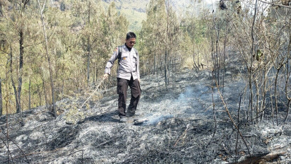 Kebakaran Hutan di Gunung Arjuno, Polisi Selidiki Pemburu Liar Pemicu Kebakaran