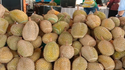 Pesta Durian GTRA Summit, Pemda Siapkan 3,4 Ton Durian dan 300 Kg Lempok Durian