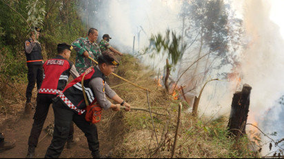 Kebakaran Kawasan Taman Nasional Bromo Tengger Semeru Semakin Meluas dan Sulit Dipadamkan, Ini Penyebabnya