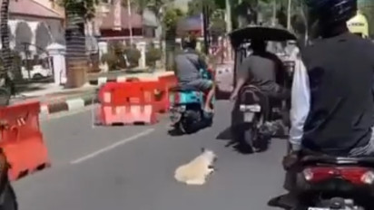 Pecinta Hewan Laporkan Pengemudi Bentor Seret Anjing di Aspal