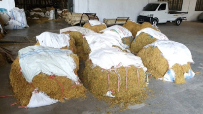 Petani Usulkan Perda Tembakau, Sekda Kabupaten Probolinggo :  Kita Akan Tindak Lanjuti