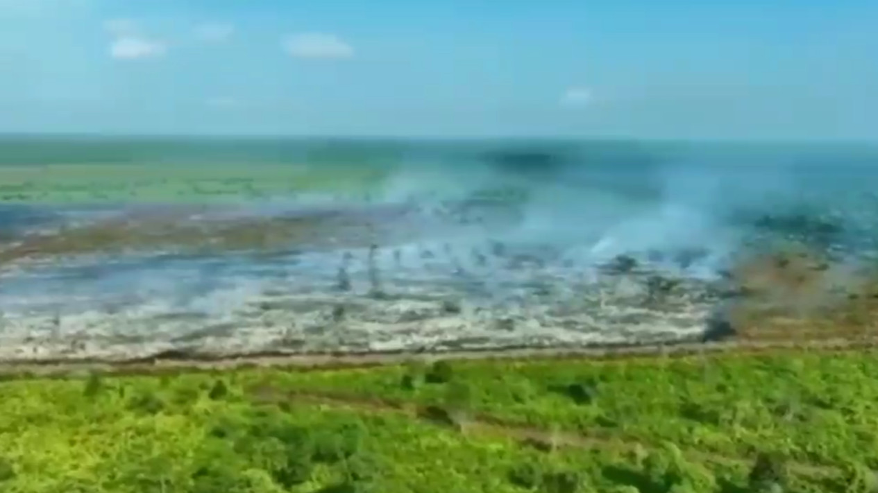 Waspada...Lebih dari 500 Hektar Hutan dan Lahan Gambut di Kotawaringin Timur Terbakar Sepanjang Kemarau
            - galeri foto