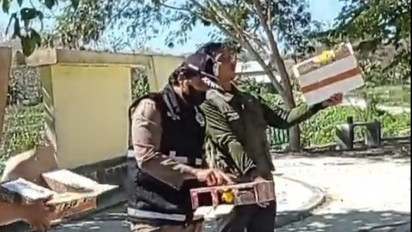 Karantina Pertanian Sumbawa Kembali Gagalkan Upaya Penyelundupan 75 Ekor Burung Berkicau