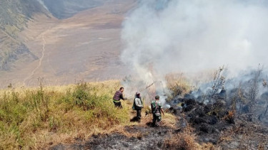 Gunung Bromo Dikepung Kebakaran Hutan, TNBTS Tutup Tiga Pintu Kawasan WisataÂ 